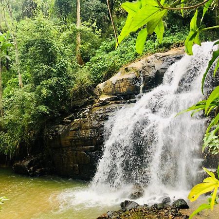 River Splendour Home Stay Ella Exterior photo