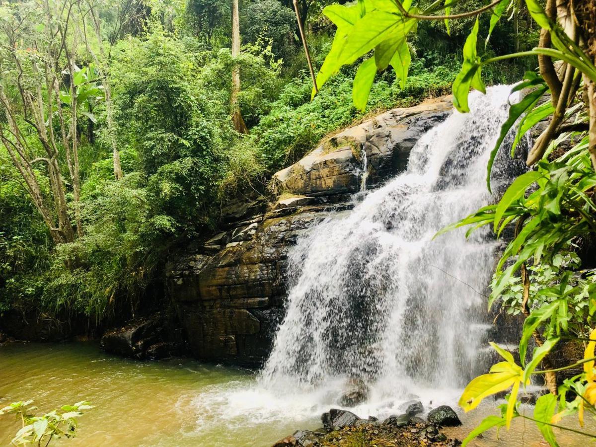 River Splendour Home Stay Ella Exterior photo