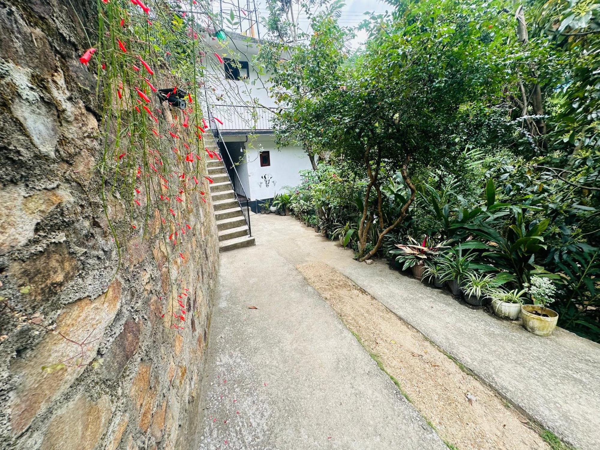 River Splendour Home Stay Ella Exterior photo