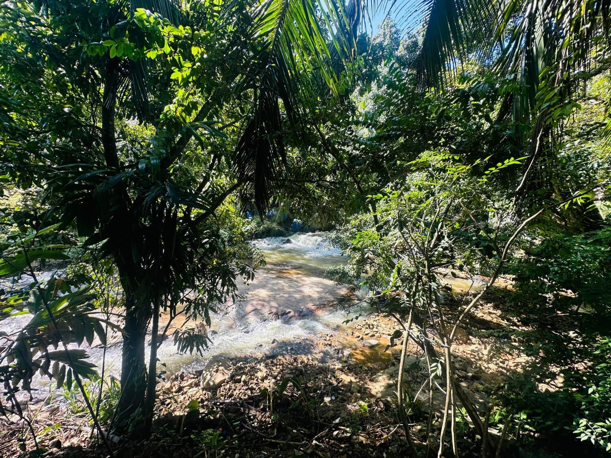 River Splendour Home Stay Ella Exterior photo