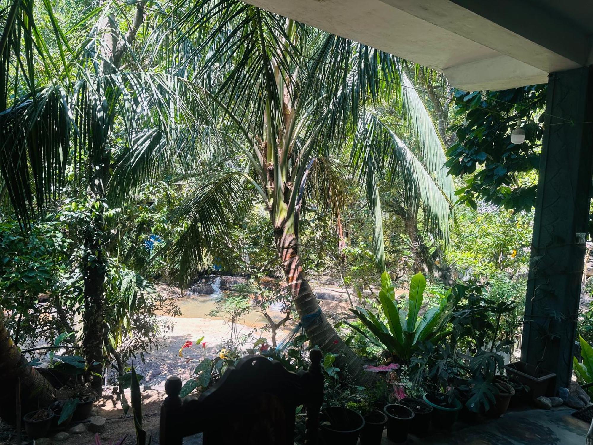 River Splendour Home Stay Ella Exterior photo