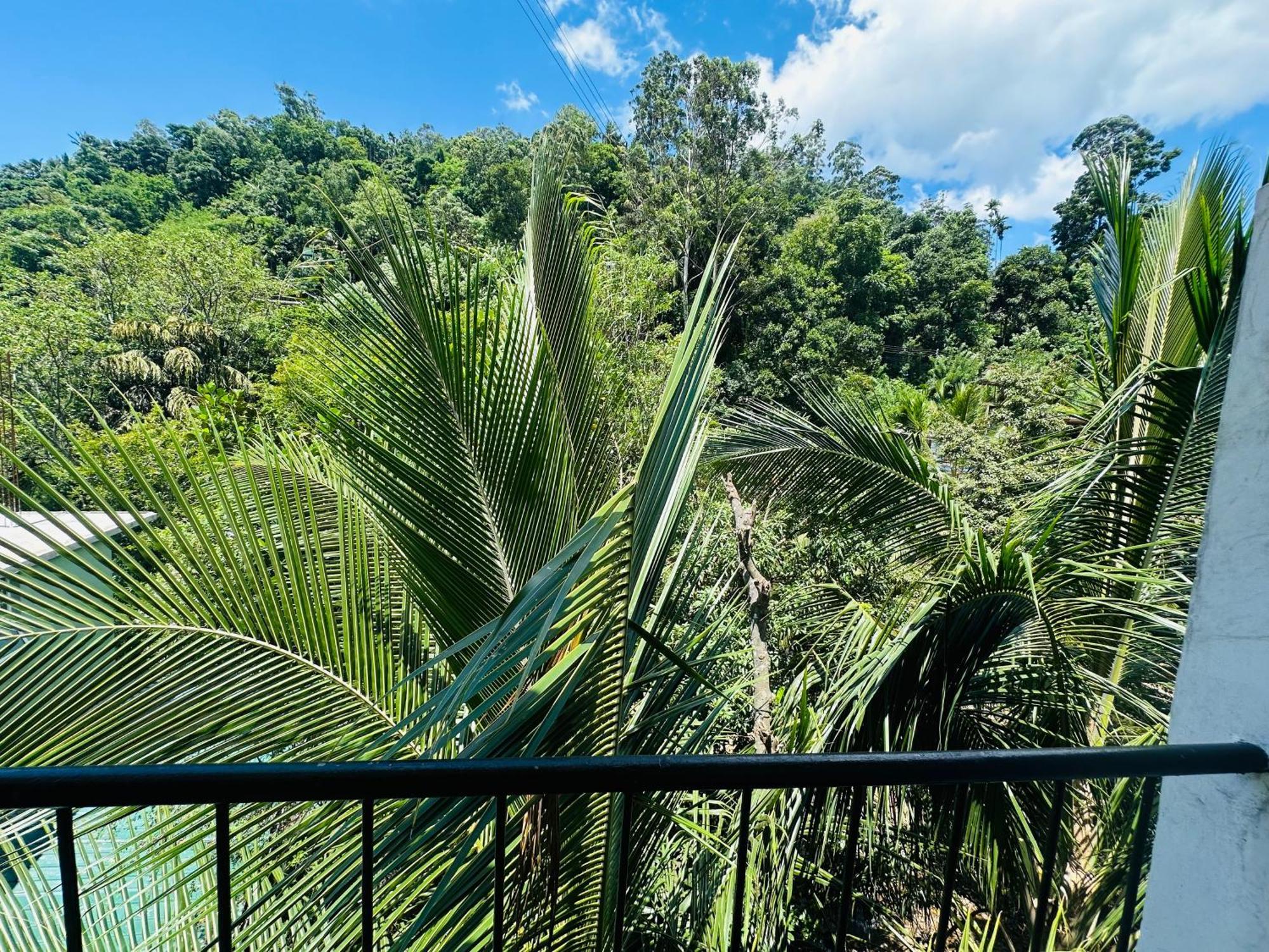 River Splendour Home Stay Ella Exterior photo